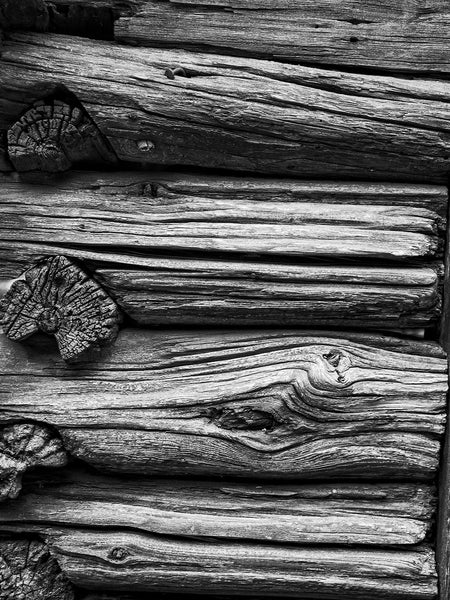Black and white photograph of beautifully textured logs with deep woodgrain that have been built into a rustic fence.