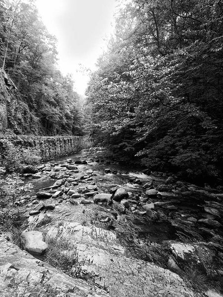 Black and white landscape photograph of a rushing stream flowing through a rocky river bed in the Great Smoky Mountains National Park in Tennessee.