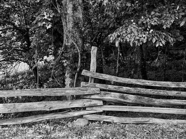 Black and white landscape photograph of a split rail fence in the green landscape of Cades Cove in the Great Smoky Mountains National Park.