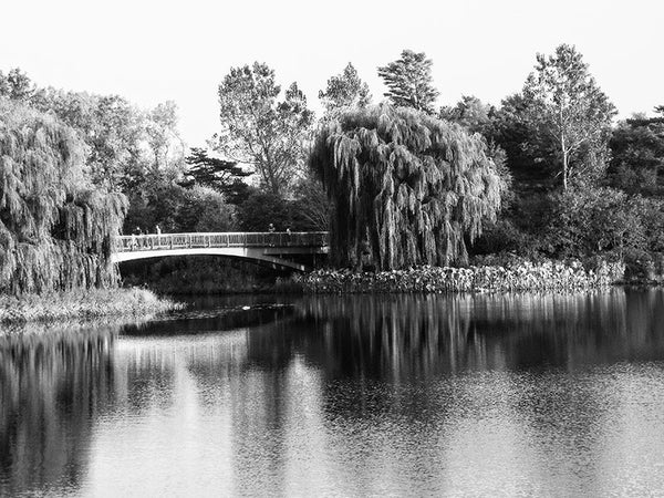 Black and white photograph of a footbridge over a pond in Chicago's gorgeous Botanic Garden.
