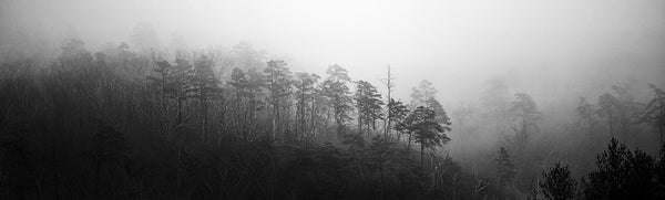 Black and white landscape photograph of foggy mountain ridges in the Smoky Mountains. This is a wide view panorama currently available only in one size: 20 inches wide x 6 inches tall.