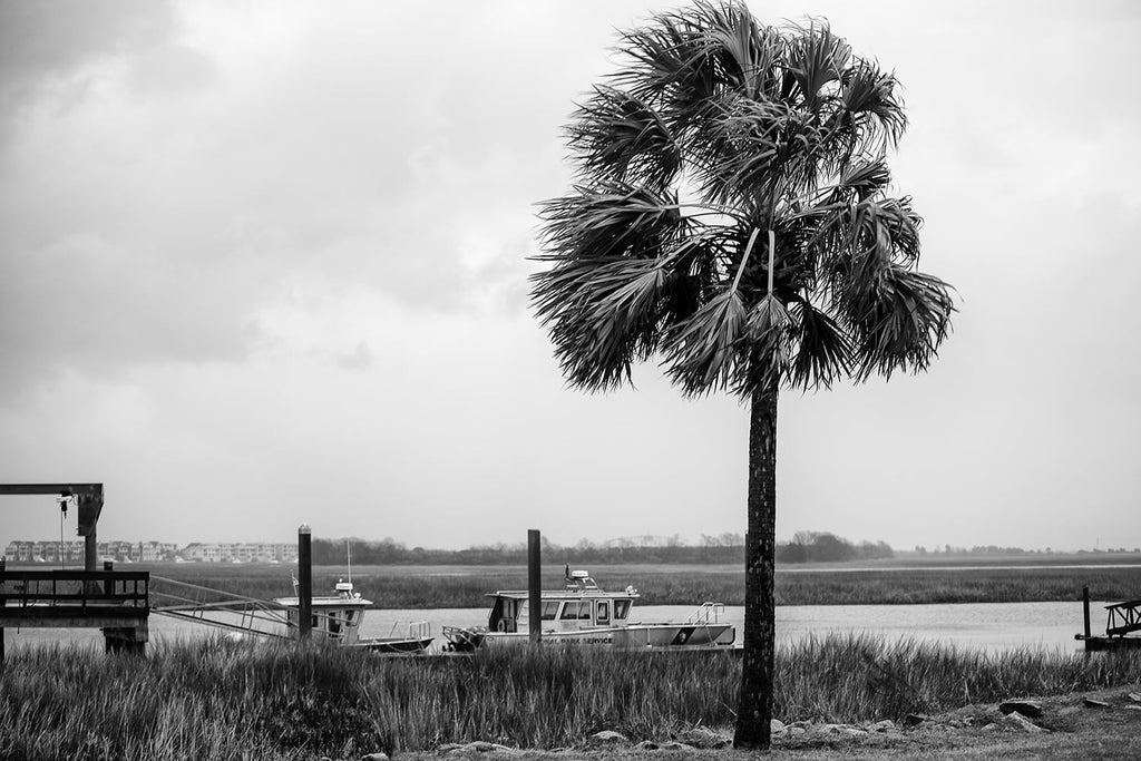 Black and white photograph of the Atlantic coast on the outskirts of Charleston on a rainy day.