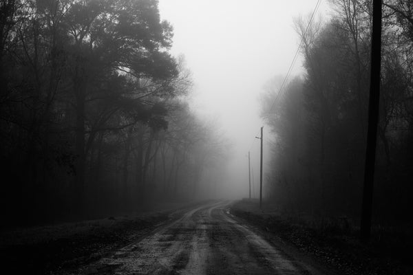 Black and white landscape photograph of a rain-soaked backroad winding through the woods into the fog. 