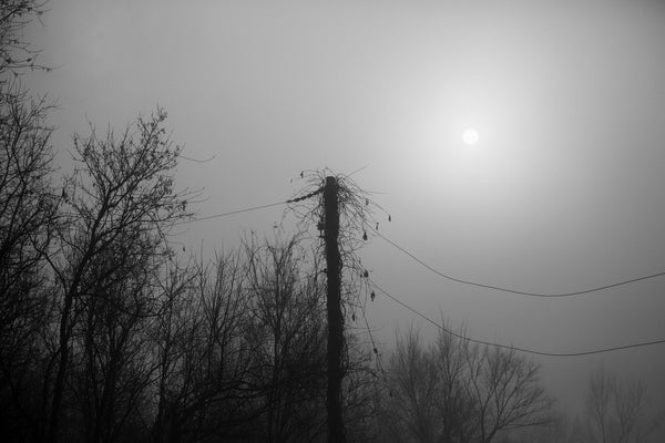 Foggy Sunrise on the Atchafalaya - Black and White Landscape Photograph (RQ0A0240)