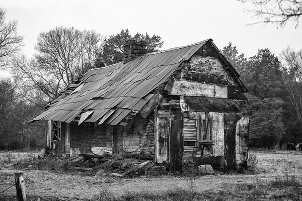 Black and white photograph of a ramshackle old cabin in the countryside of the American South.