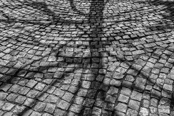Black and white photograph of a tree shadow spread across a path of cobblestones in Nashville, Tennessee.