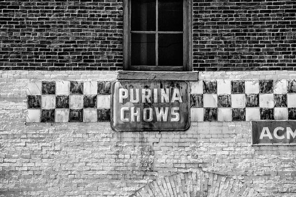 Black and white photograph of a vintage Purina Chows sign on the old abandoned Acme Feed and Seed building (before renovation) on Broadway in Nashville.