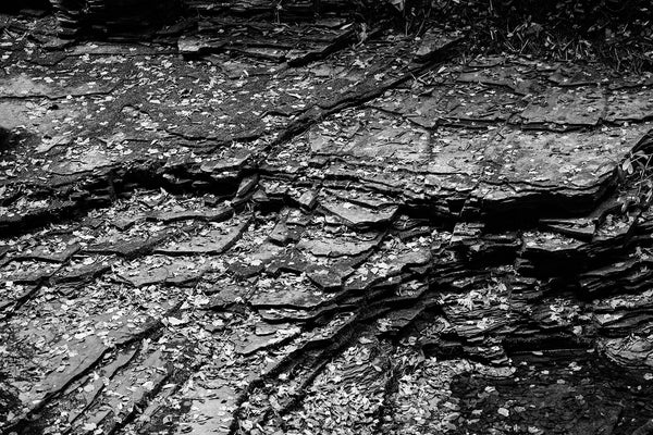 Black and white landscape photograph of the flat layers of slate stone in a shady river bottom.