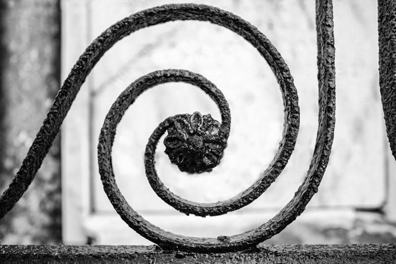 Black and white photograph of a rusty ornamental wrought iron fence in New Orleans, with a spiral design that centers on a small iron flower bloom.