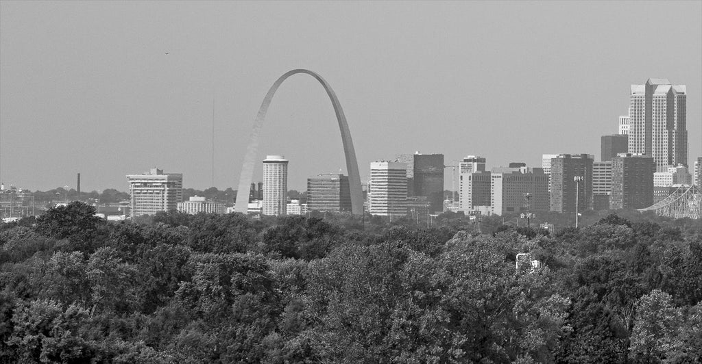 Panoramic View of Downtown St. Louis: Black and White Photograph ...