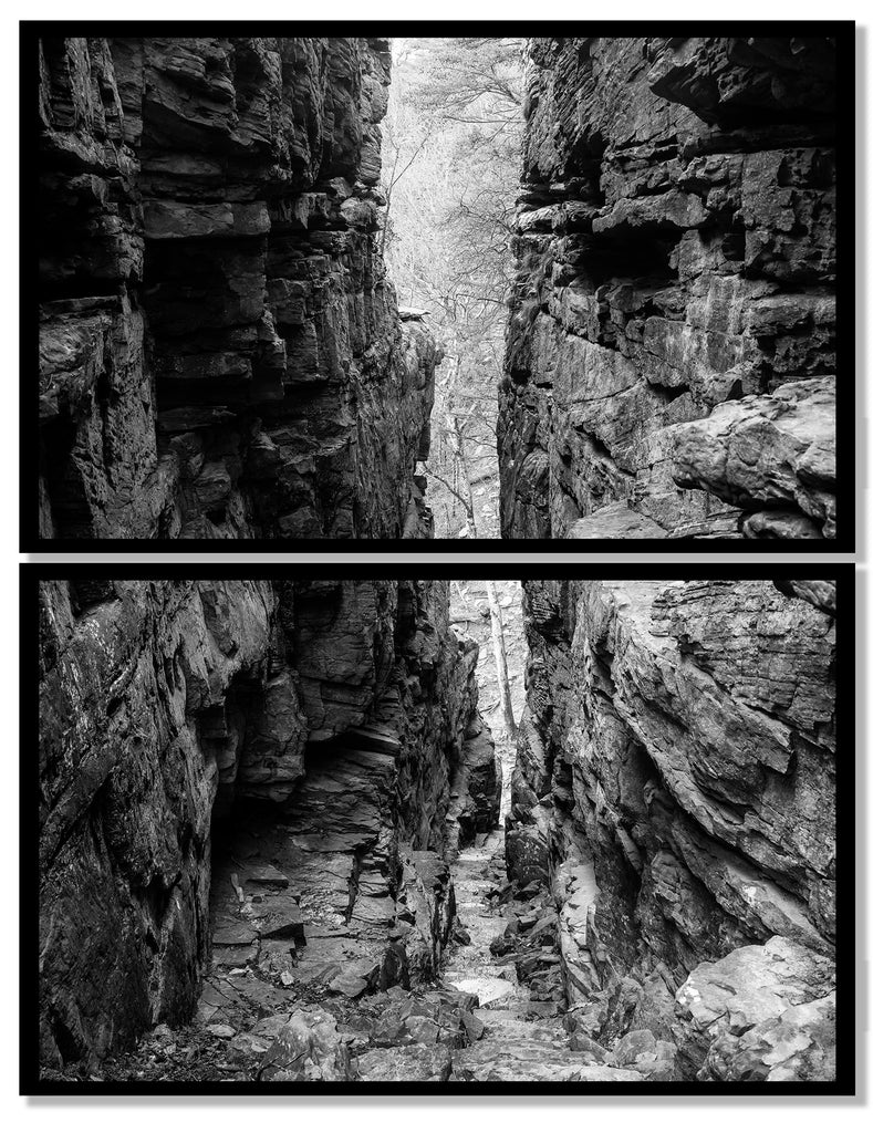 Black and white landscape photograph of a tree at the end of deep narrow gorge between two tall stone walls. Set of two large prints designed to be framed individually and displayed together in a stacked vertical arrangement.
