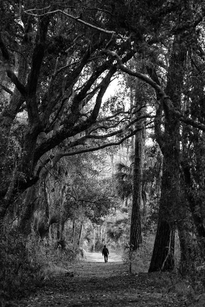 Black and white photograph of a person walking through the beautiful low country forest near Savannah. 