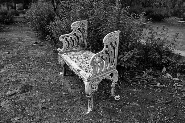 Black and white photograph of a white cast iron bench in an unkept section of Savannah's famous, beautiful, and creepy Bonaventure Cemetery.