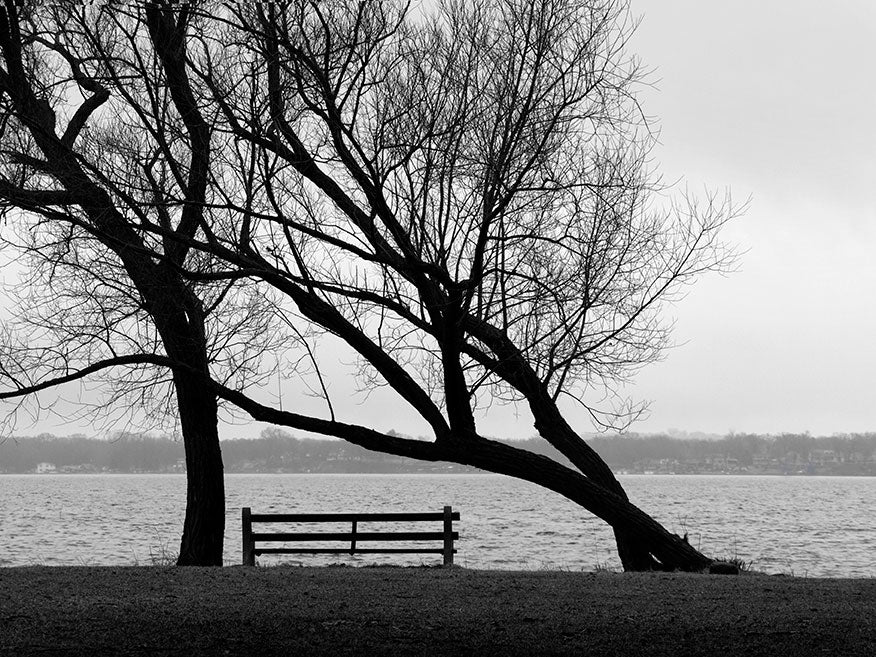 Black and white landscape photograph of two trees and an empty park bench on the shore of a beautiful lake. I call this image yearning because the leaning tree seems to personify such a longing, as it reaches across the empty park bench to the other tree. Who among us hasn't felt this kind of longing in our lives? Photographed at Lake Monona in Madison, Wisconsin.