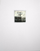 Bleak Tree: Original Polaroid Landscape Photograph Matted to 11 x 14