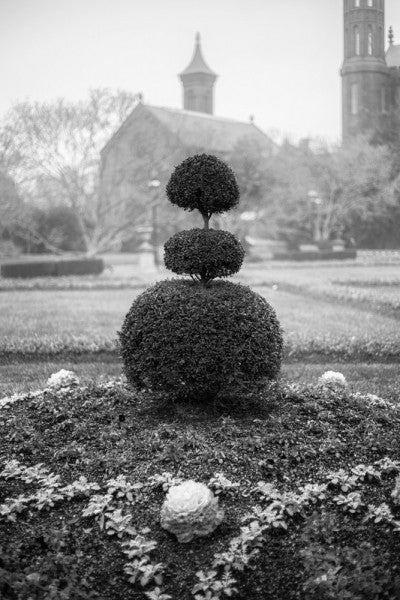Black and white landscape photograph of a foggy morning in the gardens at the Smithsonian Institution in Washington, DC.