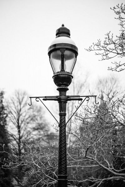 Black and white photograph of a historic lamp post on the grounds of the Smithsonian Institution in Washington, DC.
