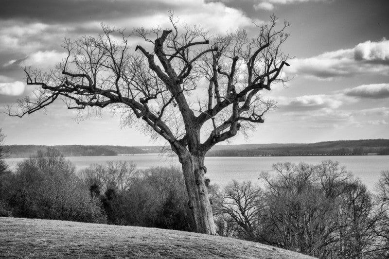 Black and white landscape photograph of the view of the Potomac River from George Washington's house at Mt. Vernon, Virginia. The view is still relatively unchanged from what Washington would have seen from his back porch.