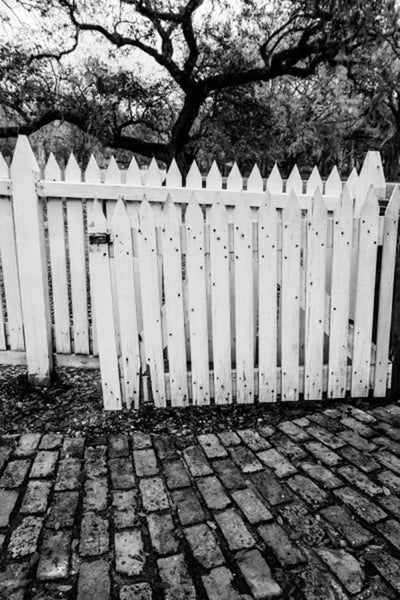 Mysterious black and white landscape photograph featuring a white picket fence, a brick path, and a black winter tree.